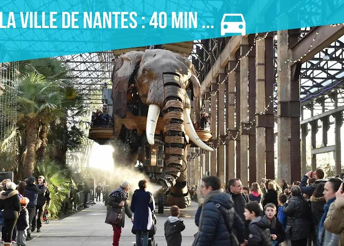 Maison De Ville Envoutante, Experience Unique !